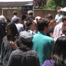 Crowd 2