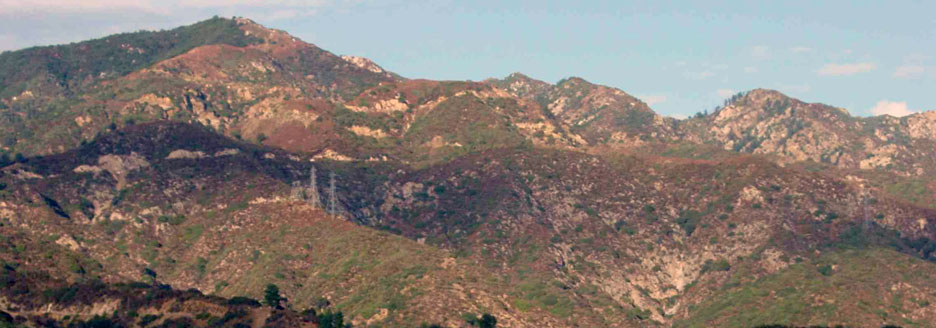 Overview